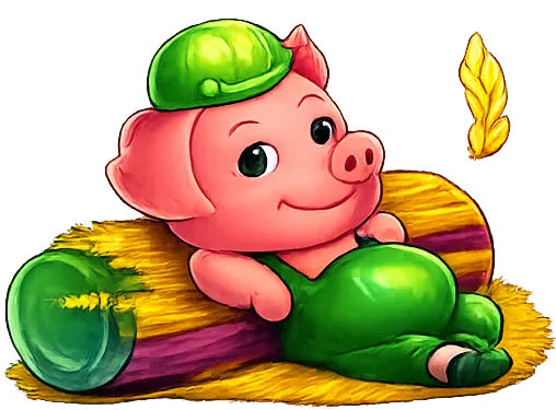 Schwein 3